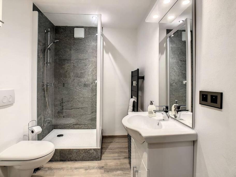 Mont Alt, F2 40M2 En Rdc, Calme, Vue Mt Blanc Apartment Паси Екстериор снимка